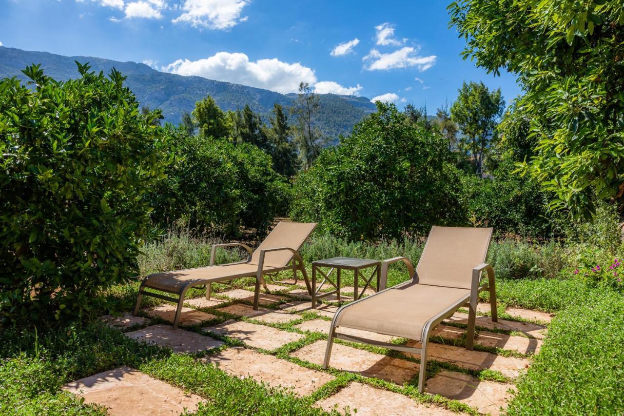 Finca Ca'S Curial - Agroturismo - Adults Only Сольер Экстерьер фото