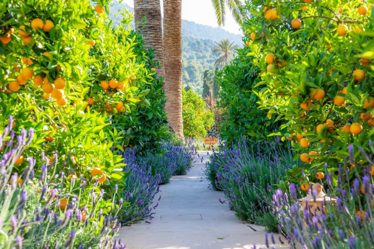 Finca Ca'S Curial - Agroturismo - Adults Only Сольер Экстерьер фото