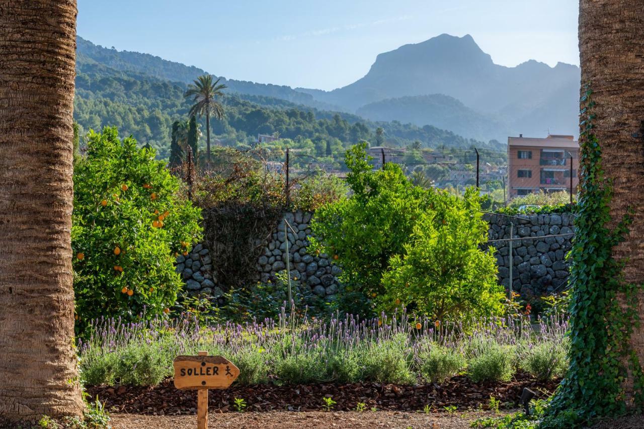 Finca Ca'S Curial - Agroturismo - Adults Only Сольер Экстерьер фото