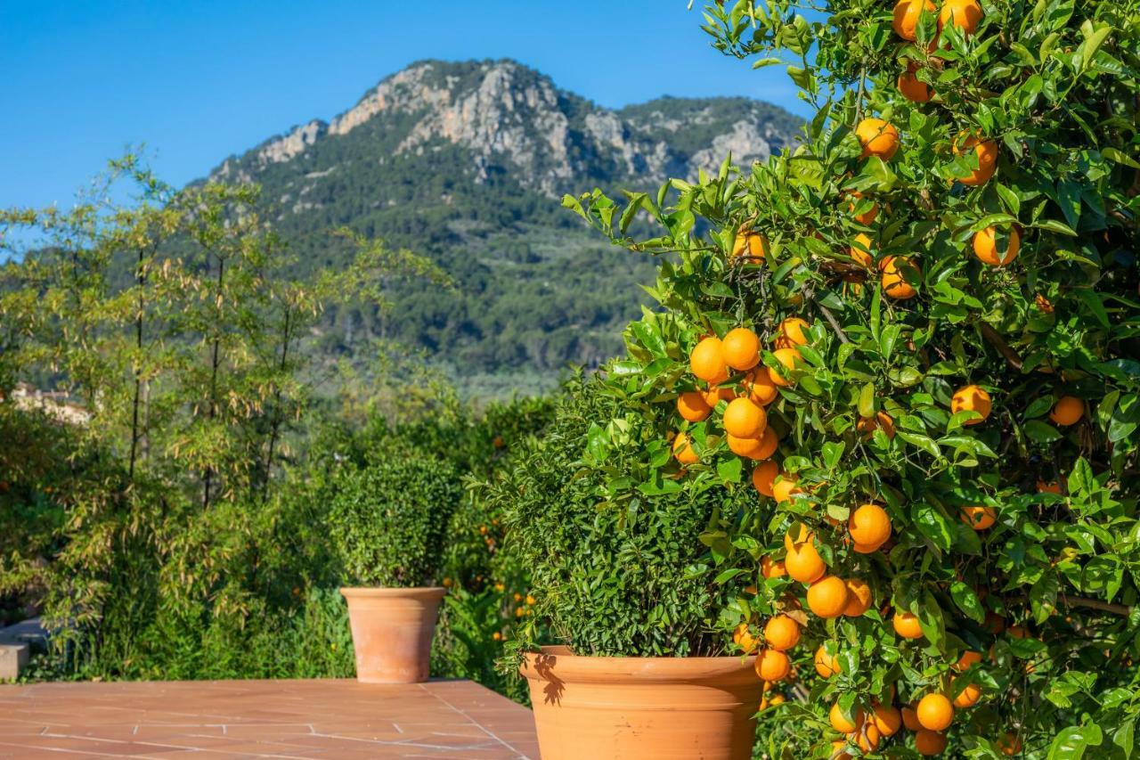 Finca Ca'S Curial - Agroturismo - Adults Only Сольер Экстерьер фото