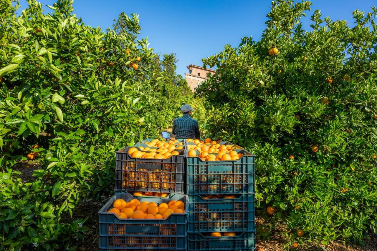 Finca Ca'S Curial - Agroturismo - Adults Only Сольер Экстерьер фото
